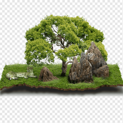 png-transparent-agricultural-land-agriculture-house-land-lot-stone-mountain-material-bonsai-company-landscape-stone